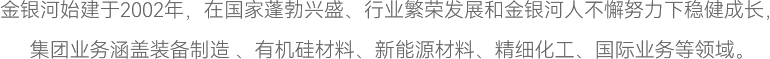 金銀河始建于2002年，在國(guó)家蓬勃興盛、行業(yè)繁榮發(fā)展和金銀河人不懈努力下穩(wěn)健成長(zhǎng)，
集團(tuán)業(yè)務(wù)涵蓋裝備制造 、有機(jī)硅材料、新能源材料、精細(xì)化工、國(guó)際業(yè)務(wù)等領(lǐng)域。